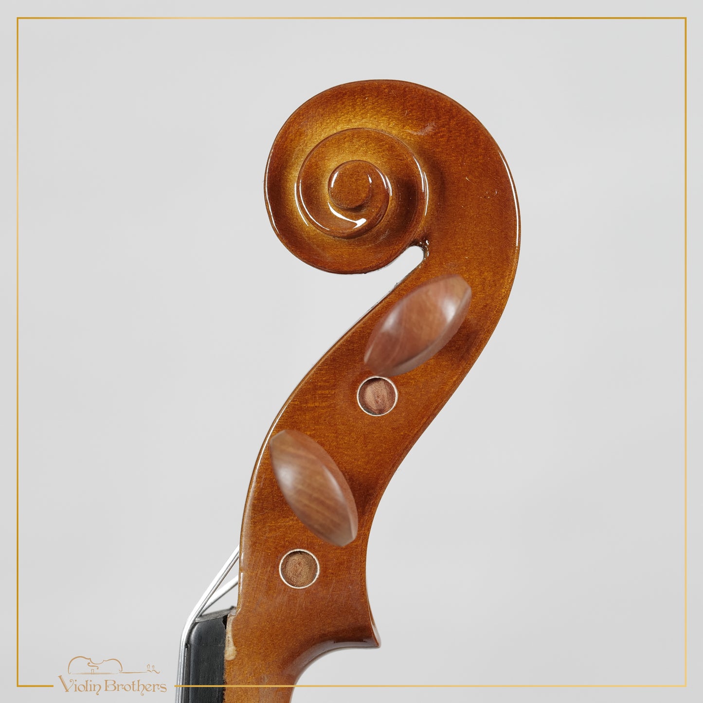 New Viola A1 12" | V29085