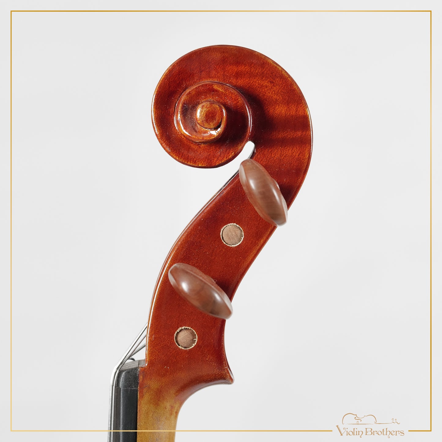 New Viola A2 14" | V28563