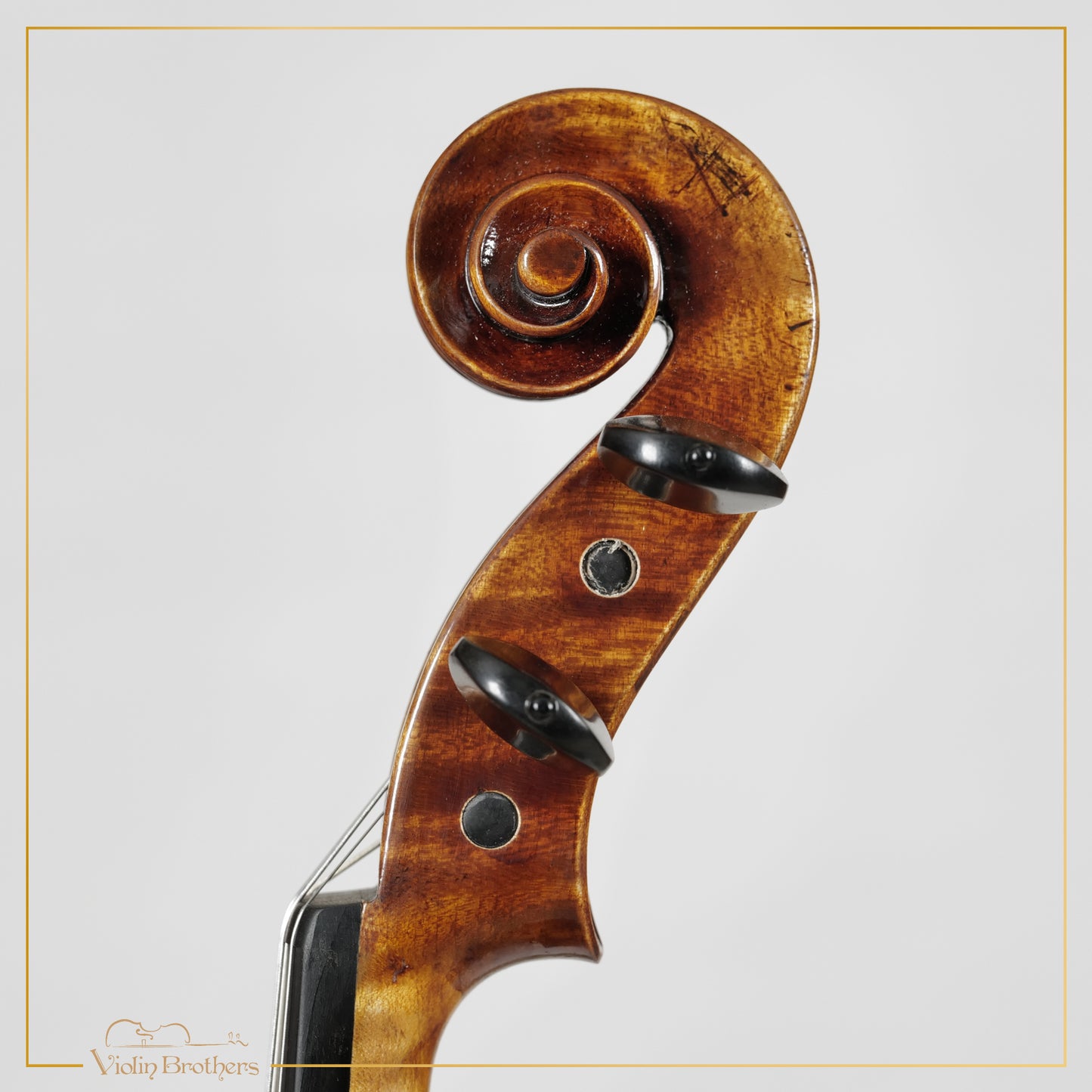 New Viola A5 16" | V26165
