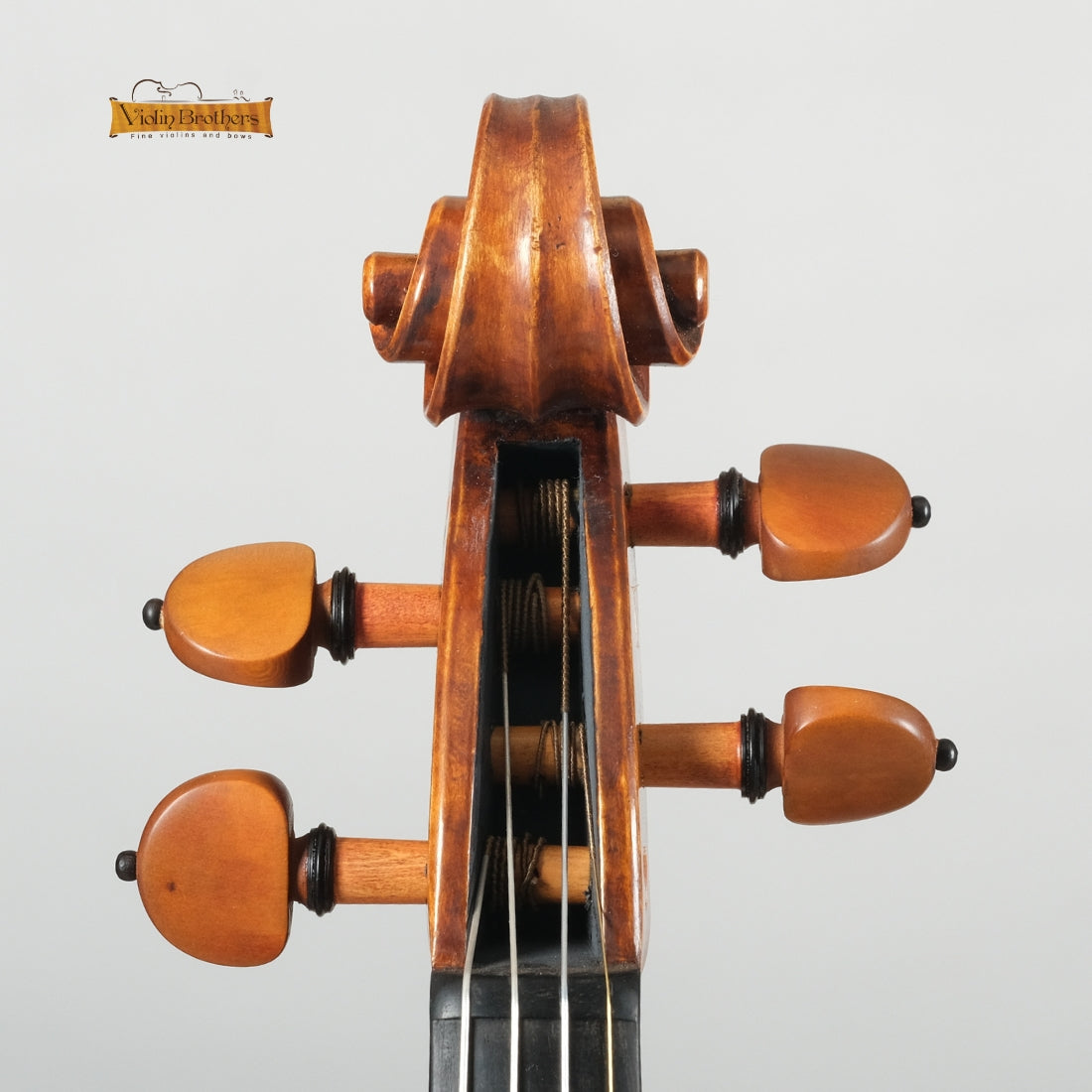 New Violin N8 4/4 | V28575