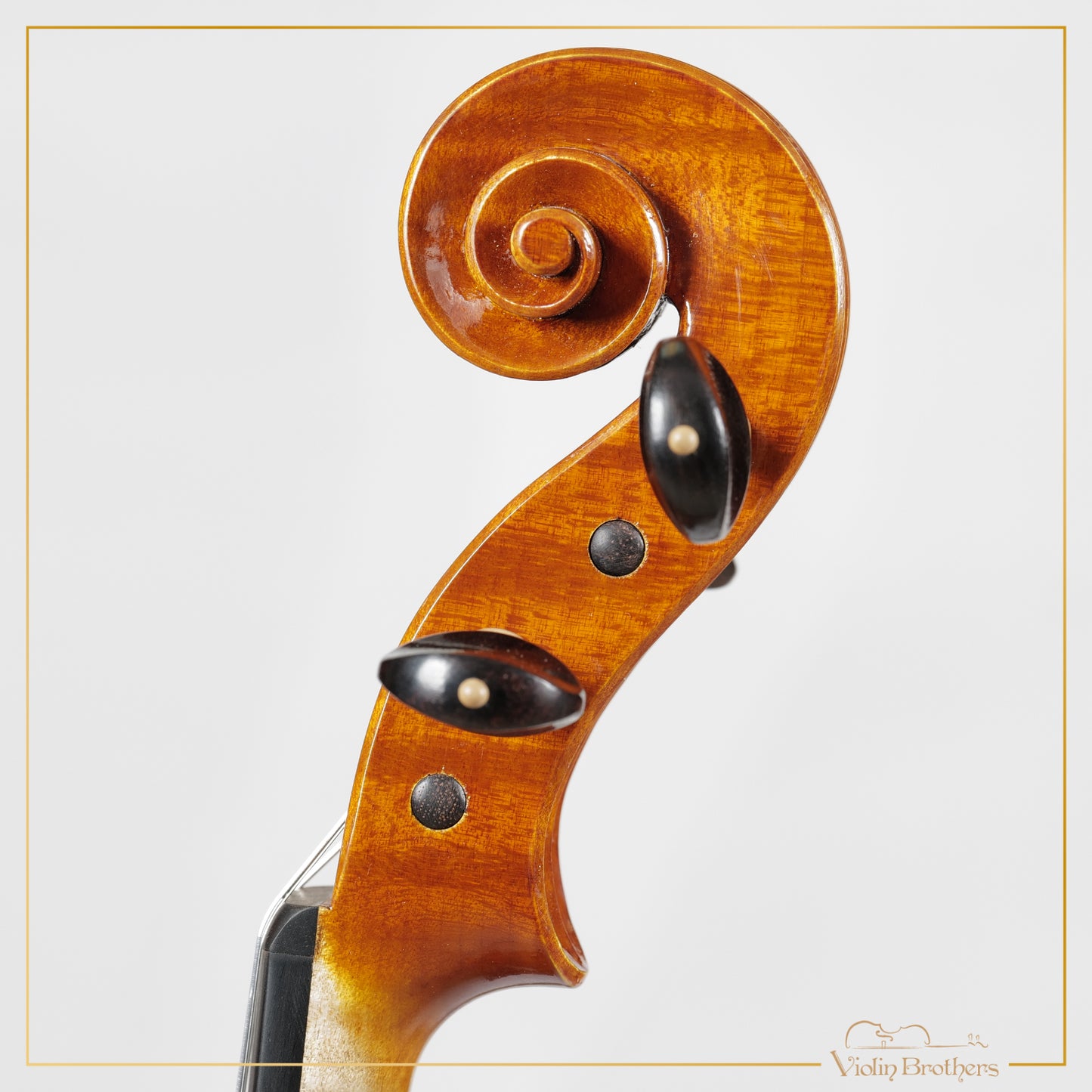 New Italian Violin - Fabrizio Portanti 1999 | N21486