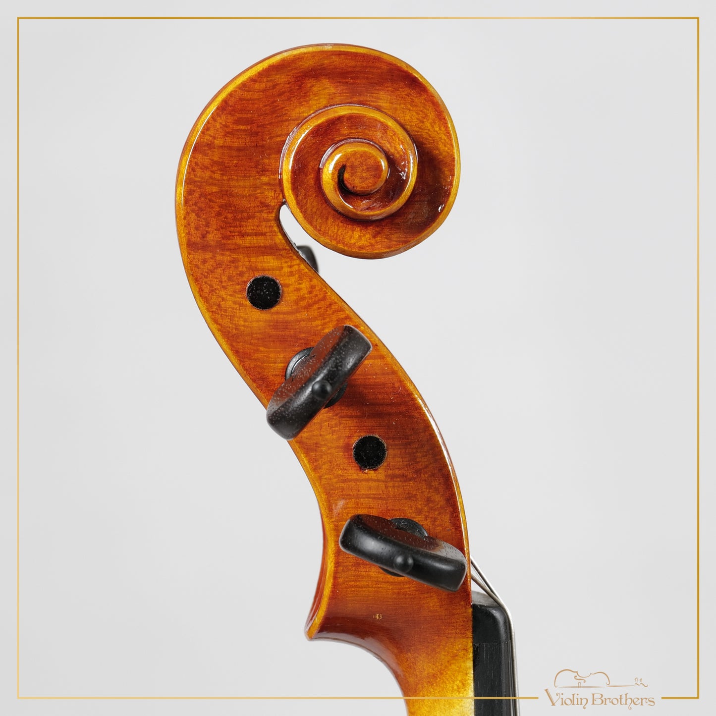 New Italian Violin - Luigi Aquilino 2025 | N21466