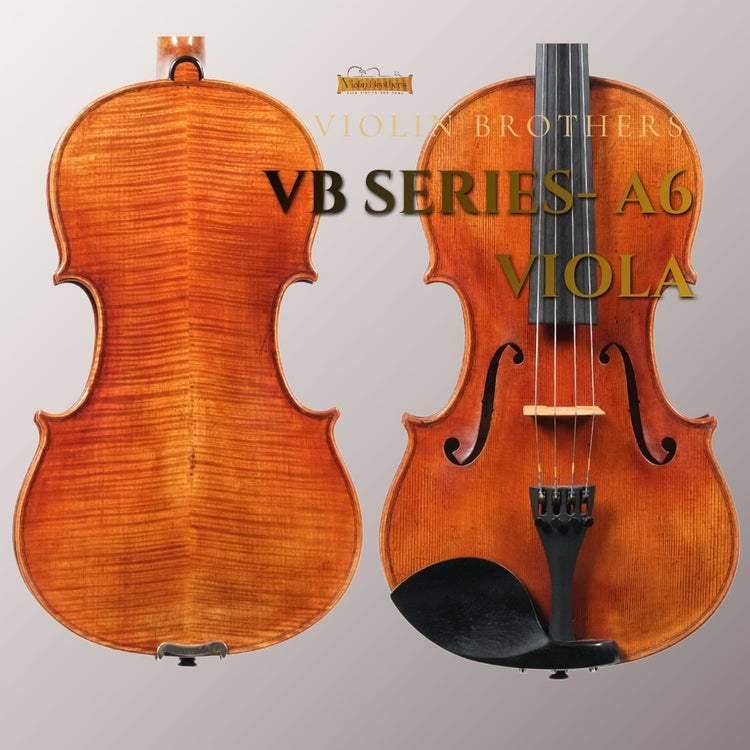 VB Series Viola A6