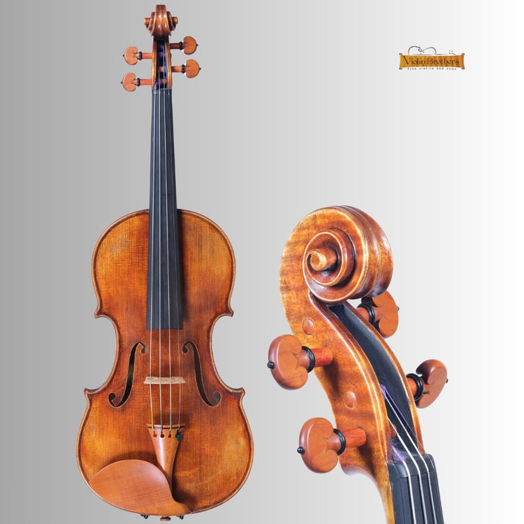 VB Series Violin- N8