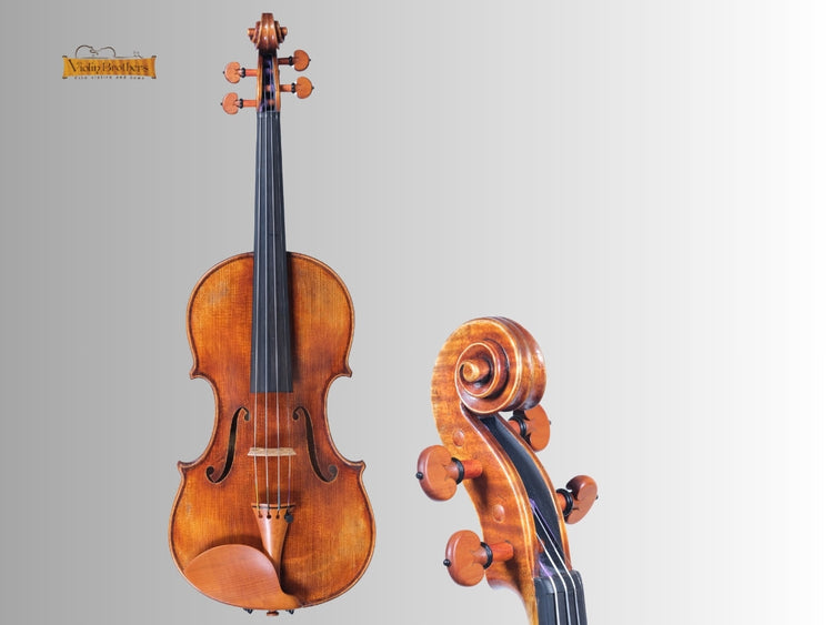 VB Series- Instrument