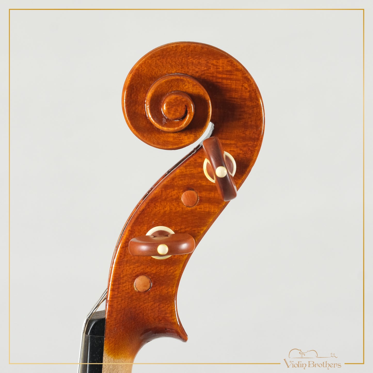 New Italian Violin - Giorg Scolari 2022 | N20662