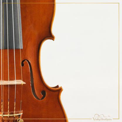 New Italian Violin - Giorg Scolari 2022 | N20662
