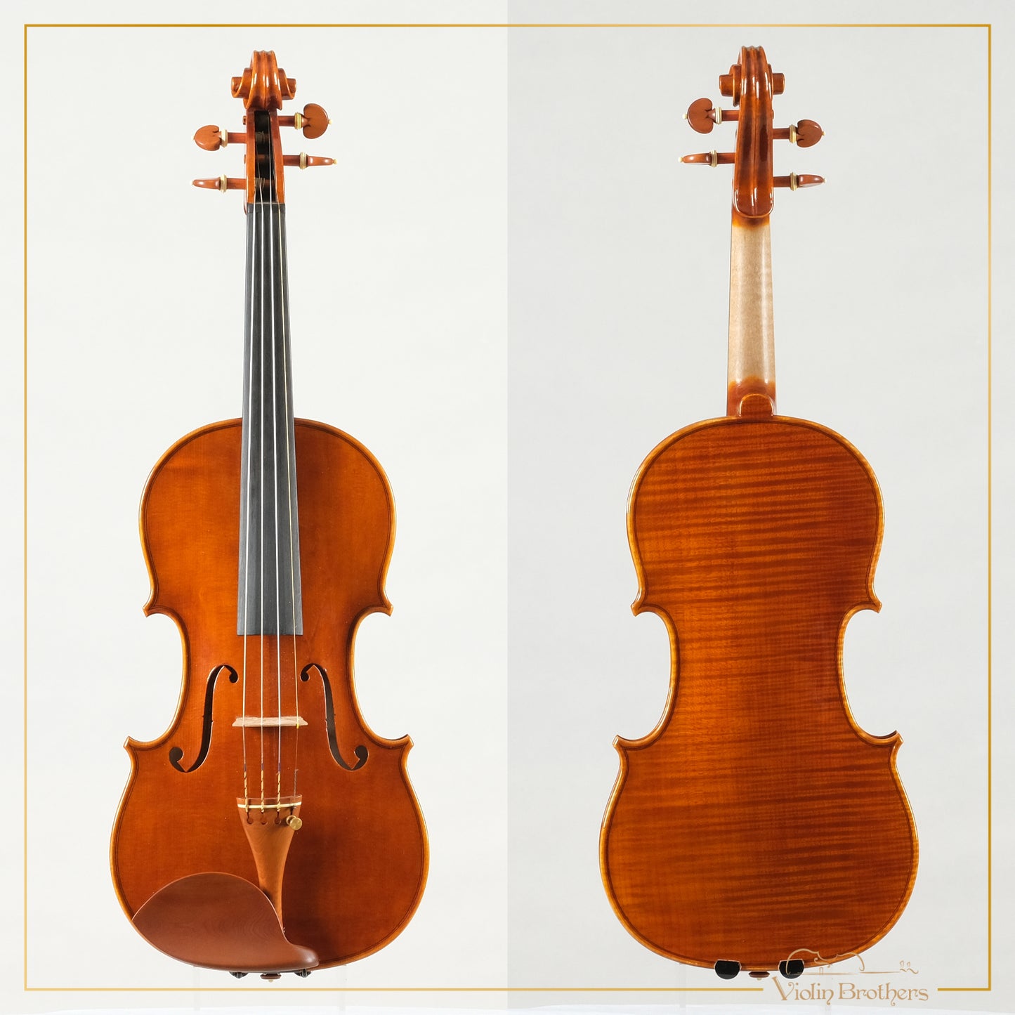 New Italian Violin - Giorg Scolari 2022 | N20662