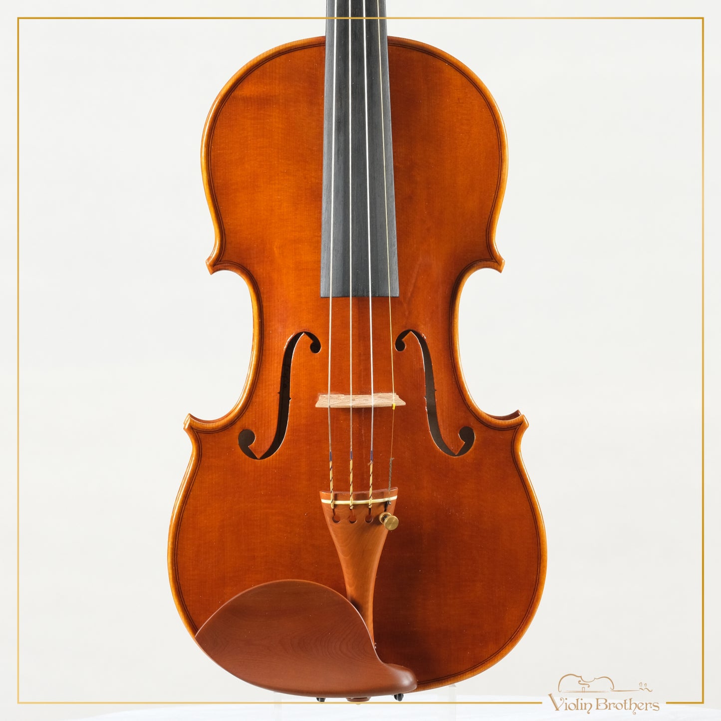 New Italian Violin - Giorg Scolari 2022 | N20662