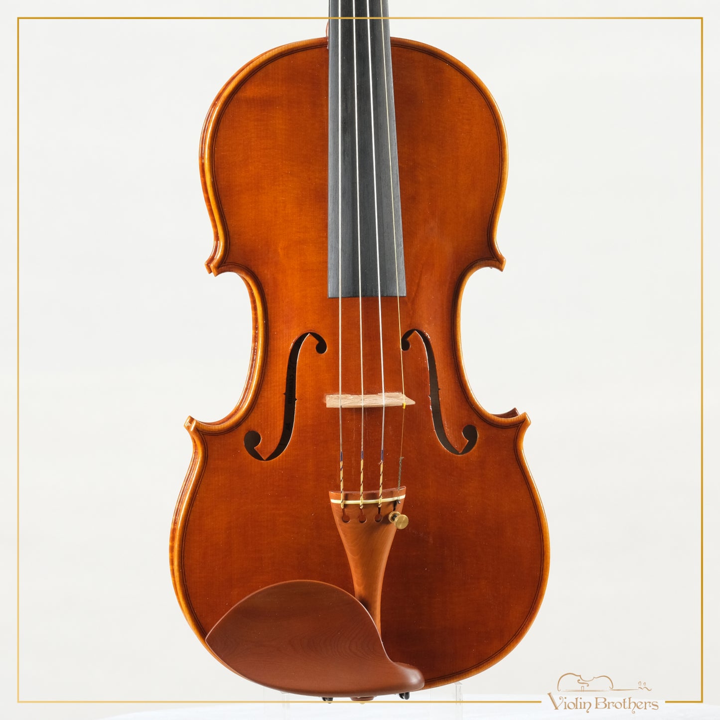 New Italian Violin - Giorg Scolari 2022 | N20662