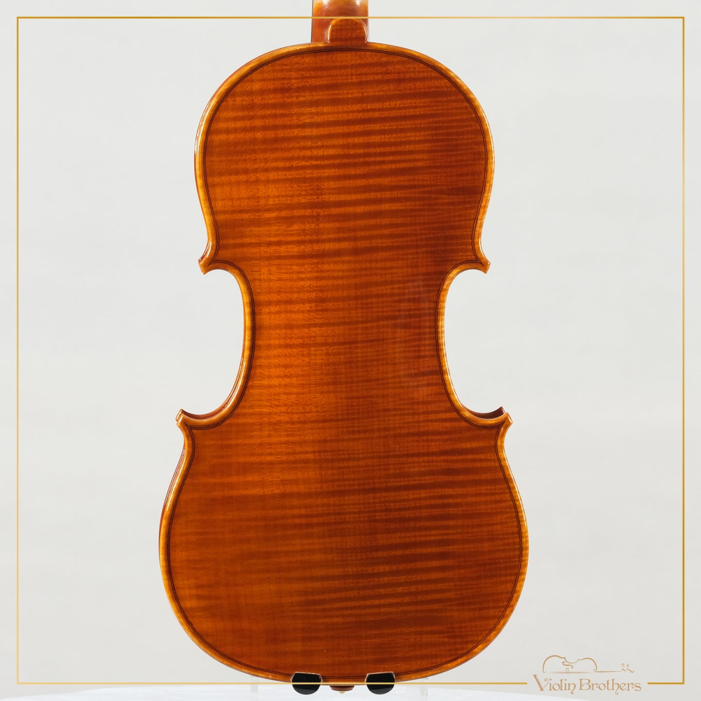 New Italian Violin - Giorg Scolari 2022 | N20662