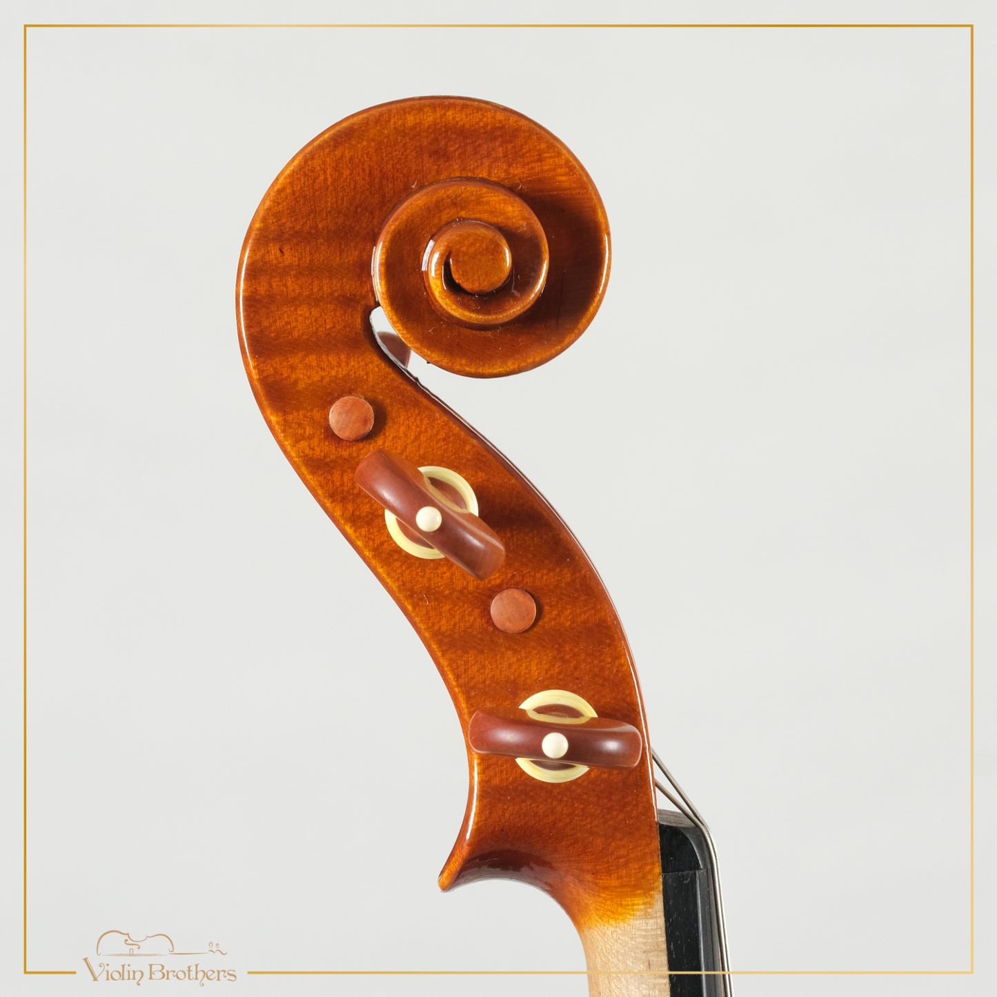 New Italian Violin - Giorg Scolari 2022 | N20662