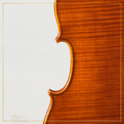 New Italian Violin - Giorg Scolari 2022 | N20662
