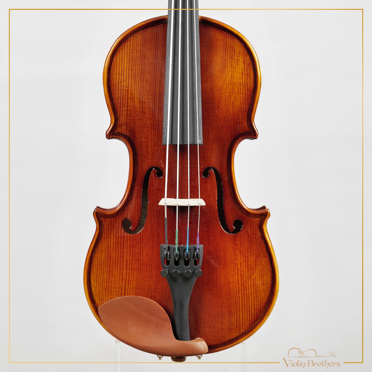 New Viola A1 10" | V21394
