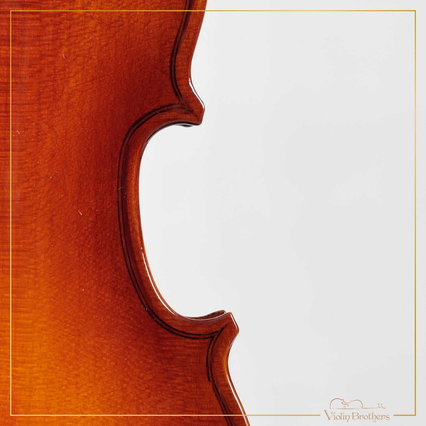 New Viola A1 10" | V21394