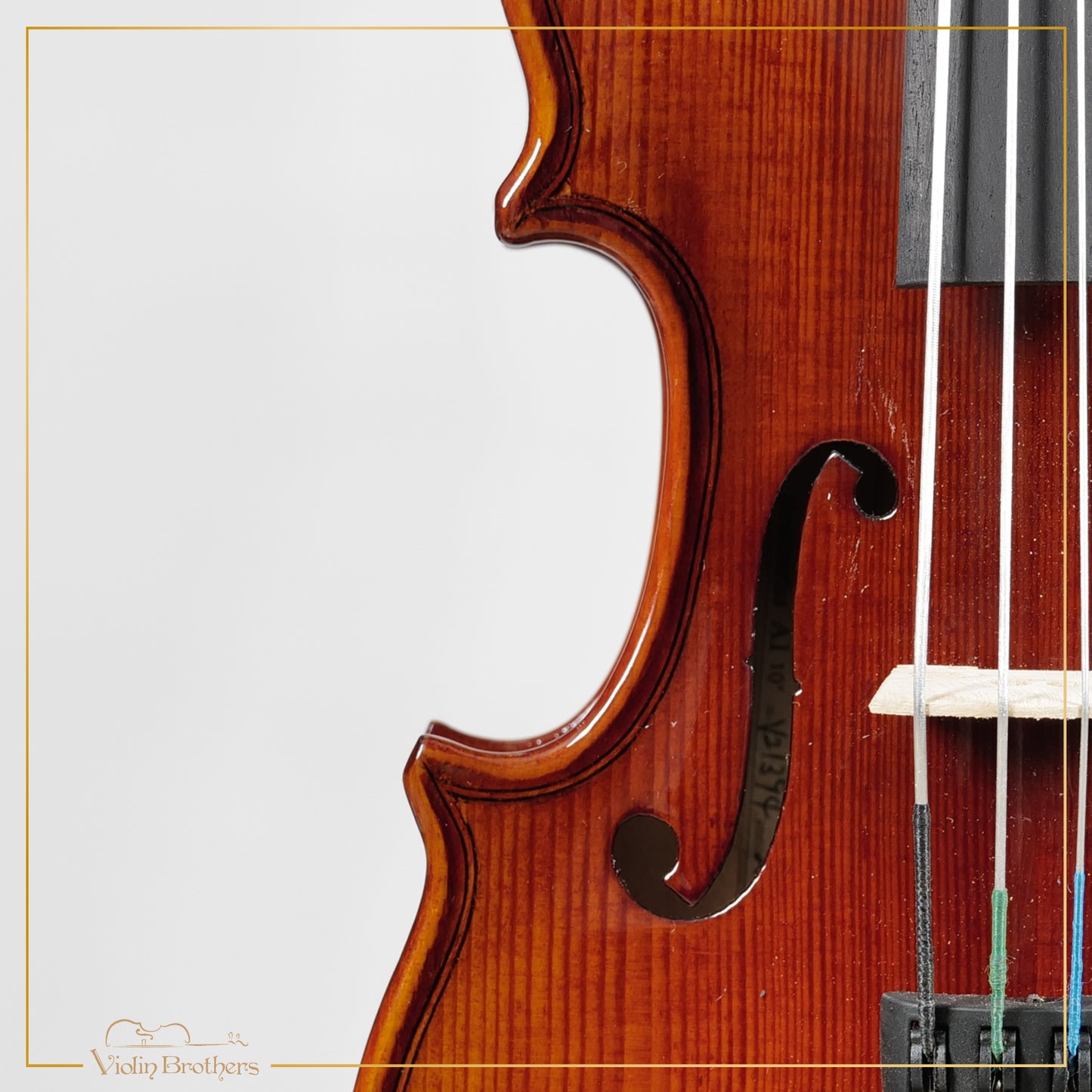New Viola A1 10" | V21394