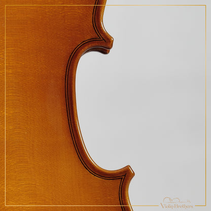 New Viola A1 11" | V28995