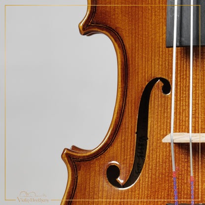 New Viola A1 11" | V28995