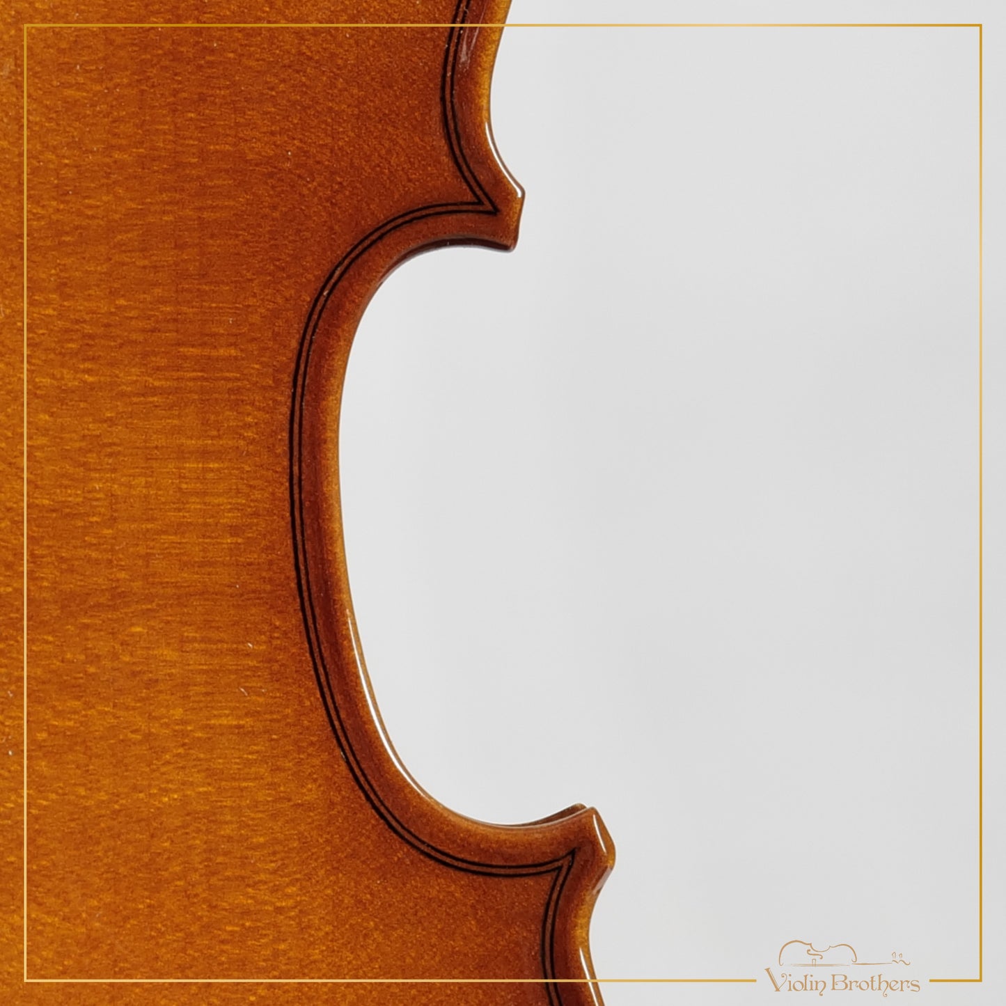 New Viola A1 12" | V29085