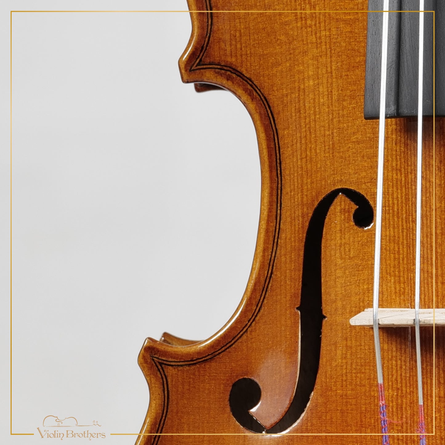 New Viola A1 12" | V29085