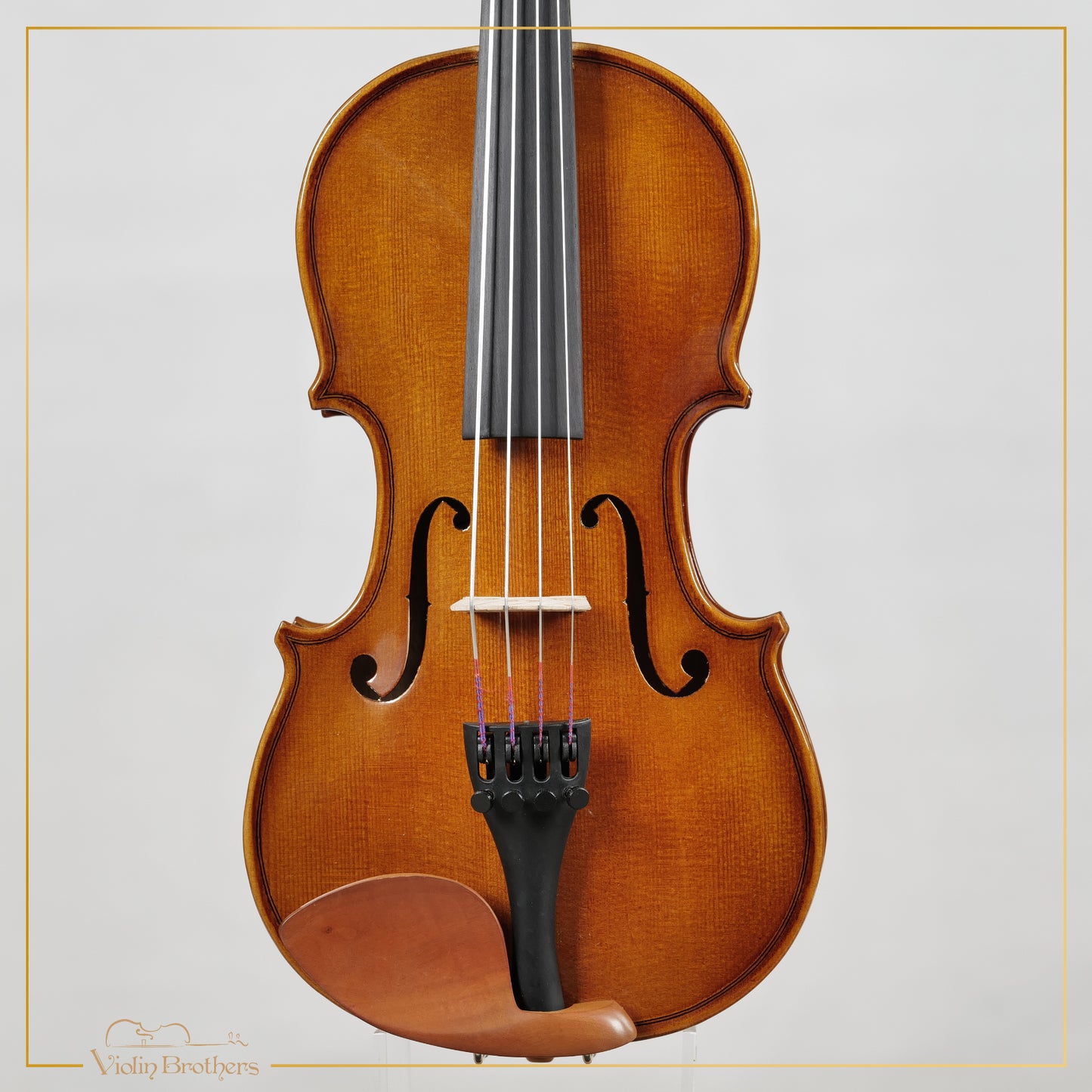 New Viola A1 12" | V29085