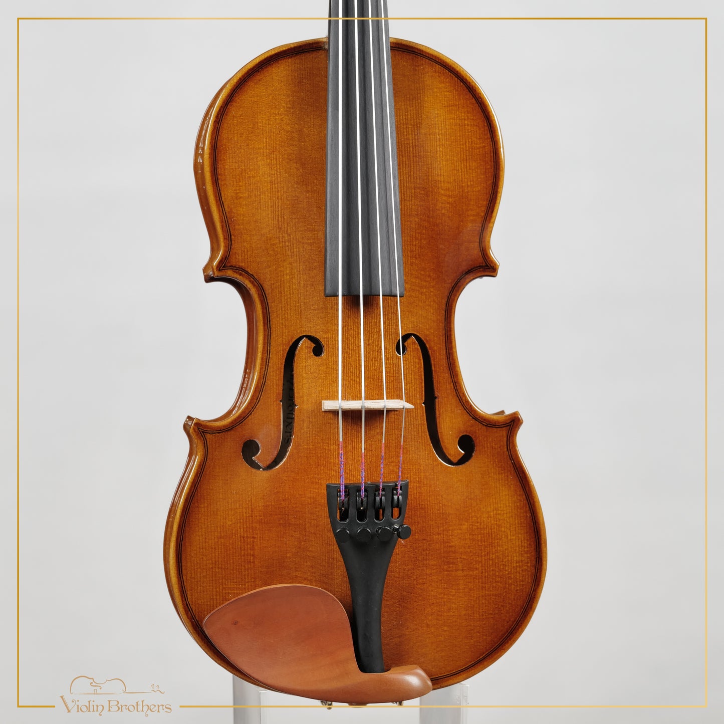 New Viola A1 12" | V29085