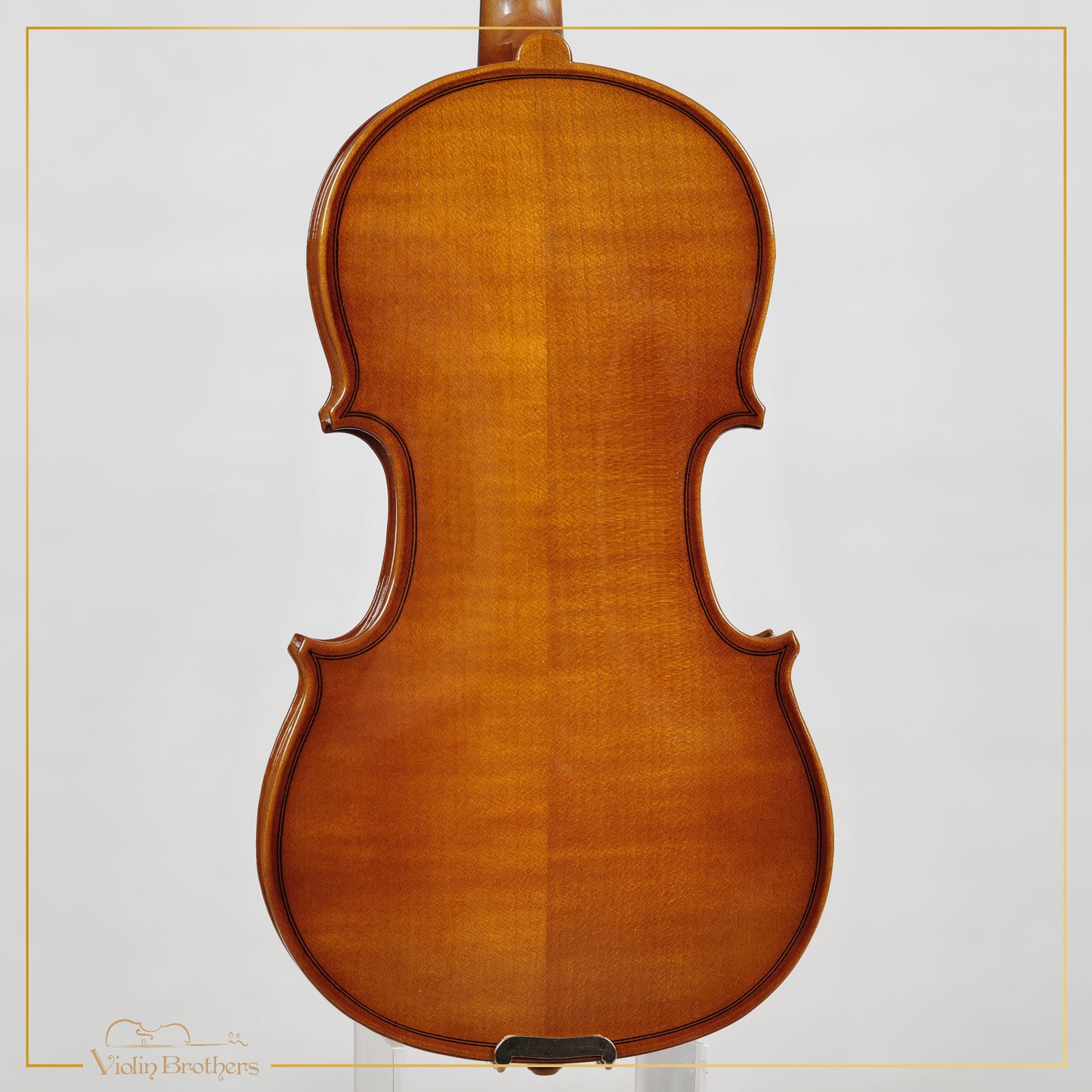 New Viola A1 12" | V29085