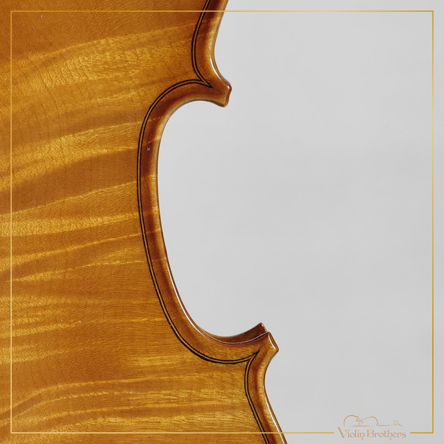 New Viola A1 13" | V29185