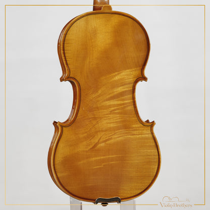 New Viola A1 13" | V29185