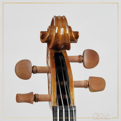 New Viola A1 13" | V29185