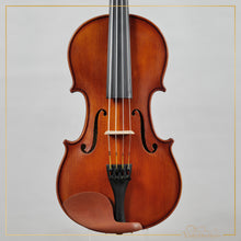 New Viola A1 14" | V29823