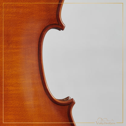 New Viola A1 14" | V29823