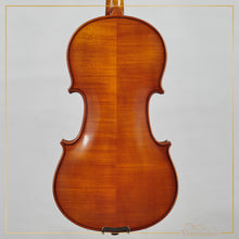 New Viola A1 14" | V29823