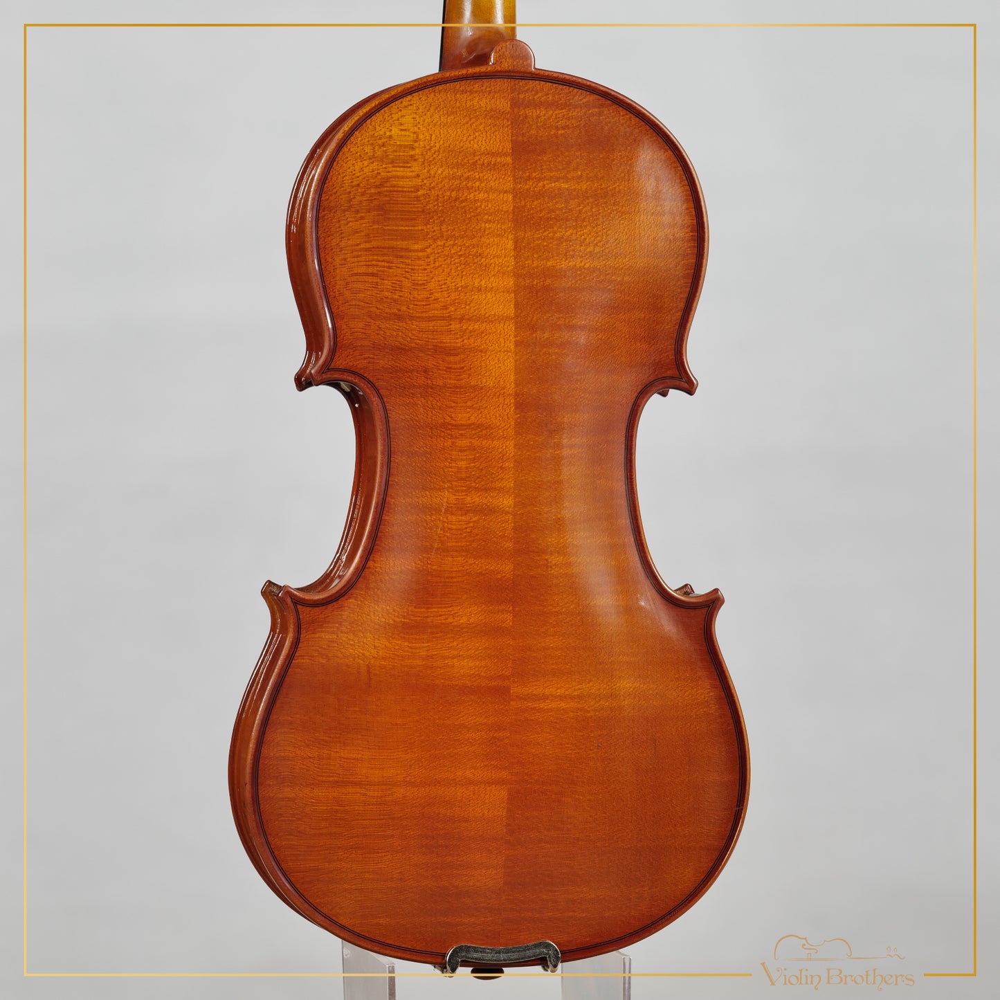 New Viola A1 14" | V29823