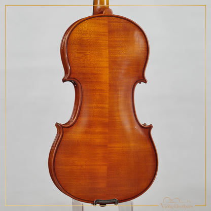 New Viola A1 14" | V29823