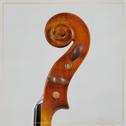 New Viola A1 14" | V29823