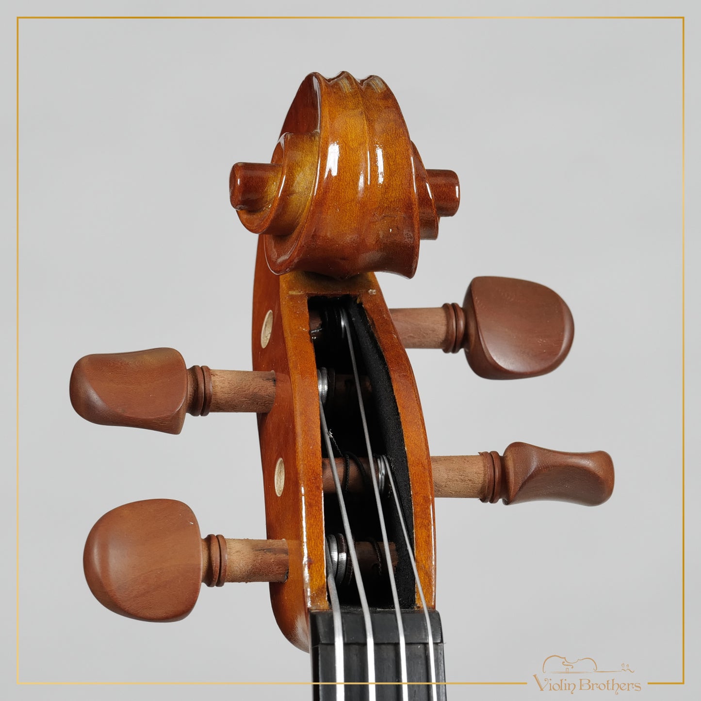 New Viola A1 14" | V29823