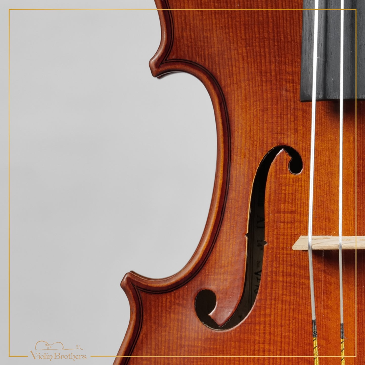 New Viola A1 14" | V29823