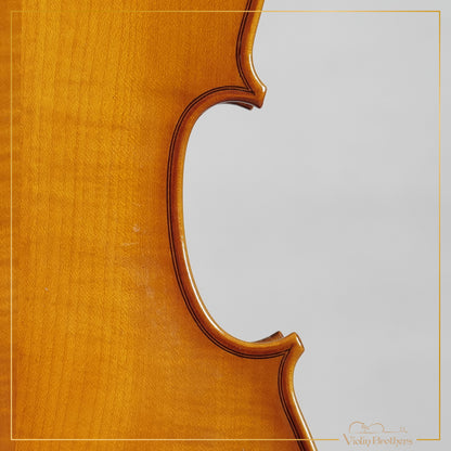 New Viola A1 15" | V20456