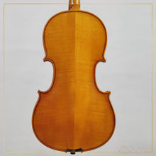 New Viola A1 15" | V20456