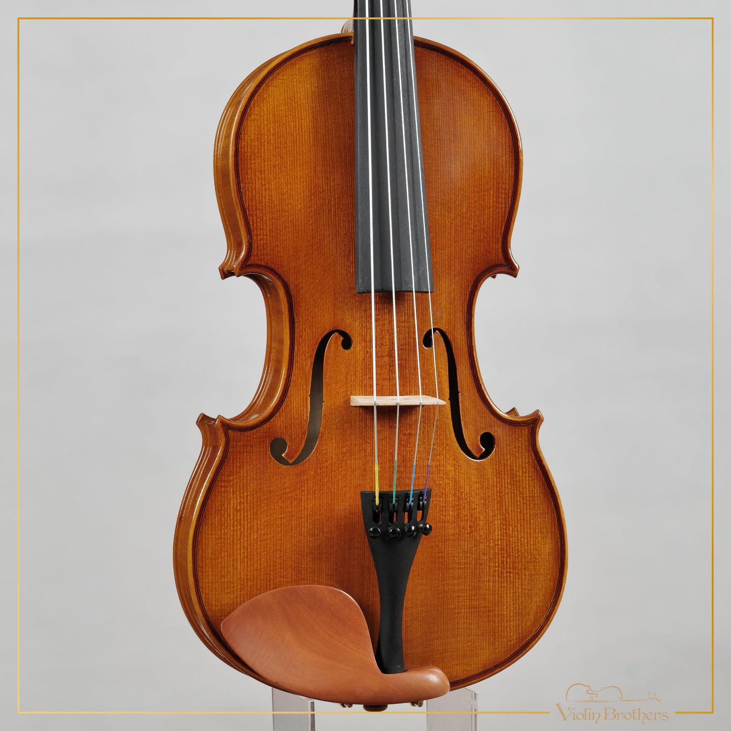 New Viola A1 15" | V20456