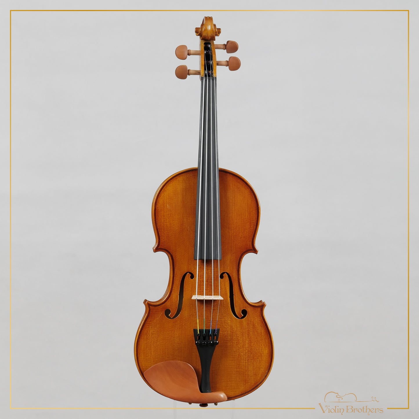New Viola A1 15" | V20456