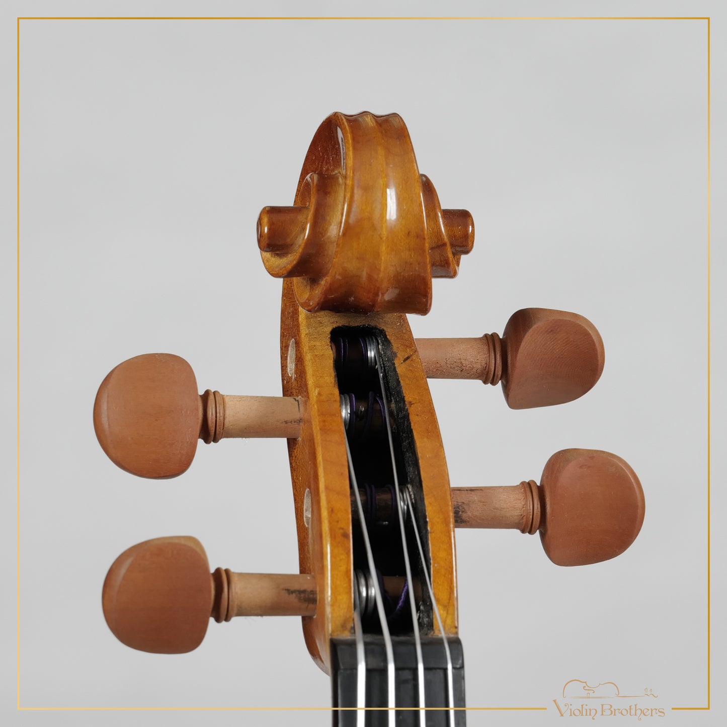 New Viola A1 15" | V20456