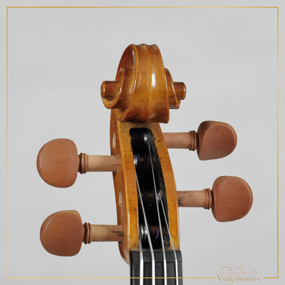 New Viola A1 15" | V20456