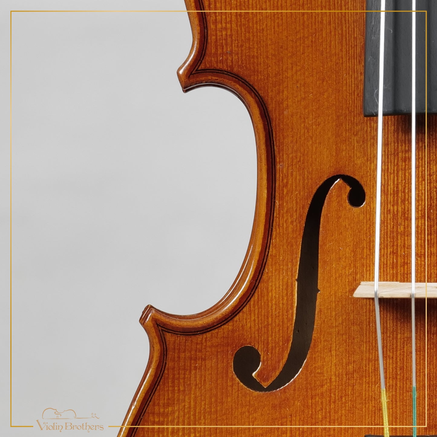 New Viola A1 15" | V20456