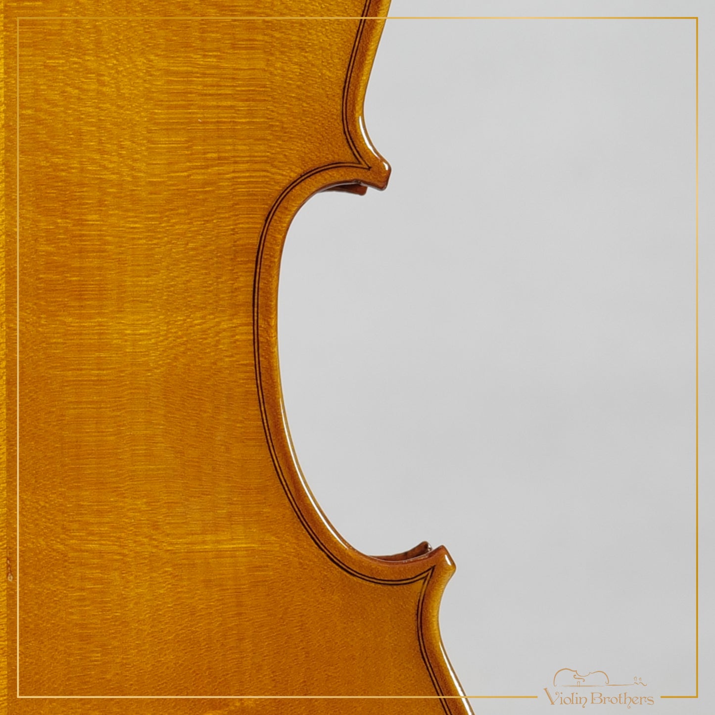 New Viola A1 16" | V21364