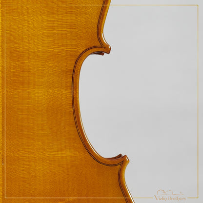 New Viola A1 16" | V21364