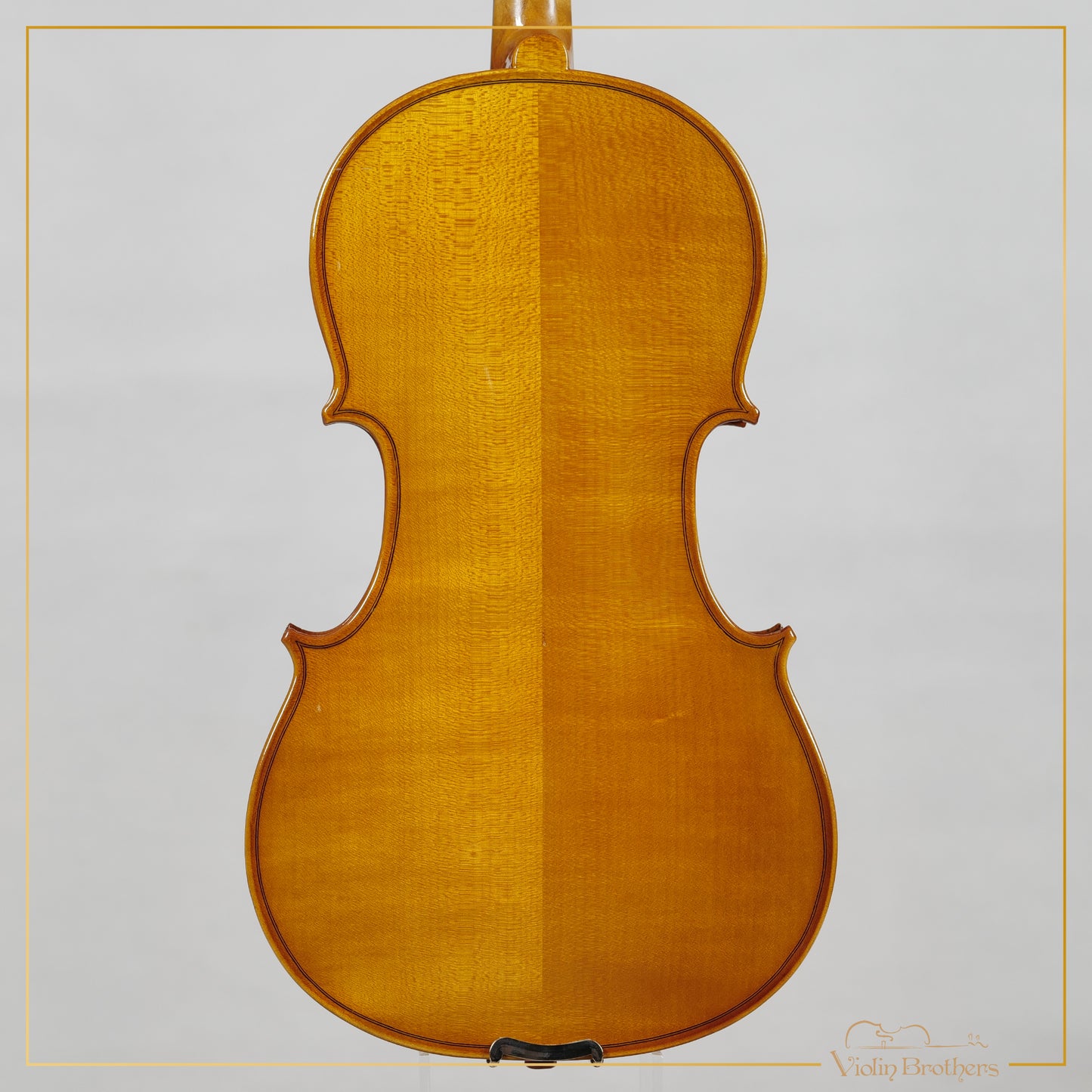 New Viola A1 16" | V21364