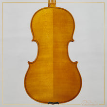 New Viola A1 16" | V21364