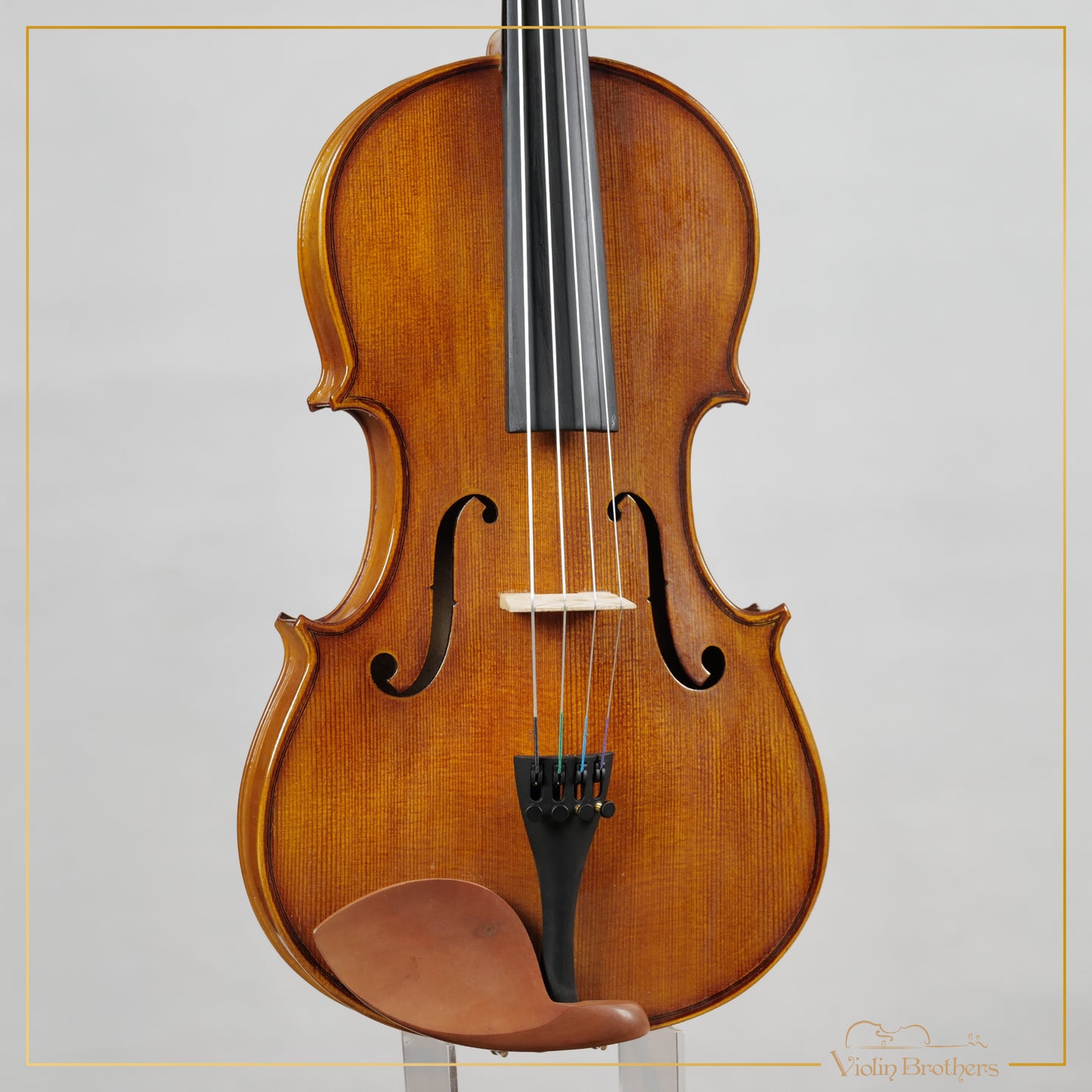 New Viola A1 16" | V21364